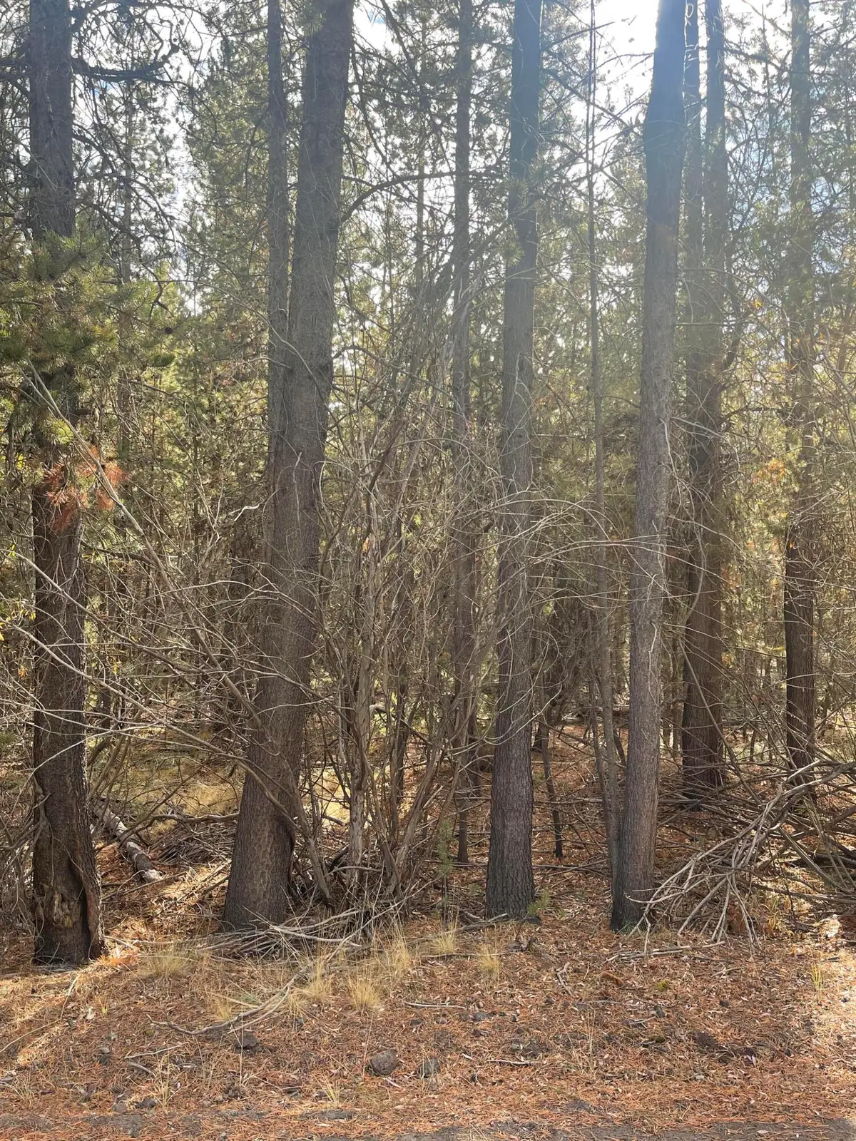 17135 Merced Road #6, Bend, OR 97707 - #1