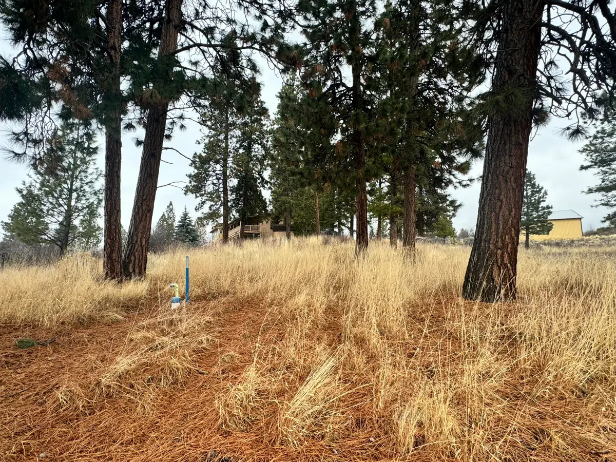 Margi Court #Lot 12, Chiloquin, OR 97624 - #1