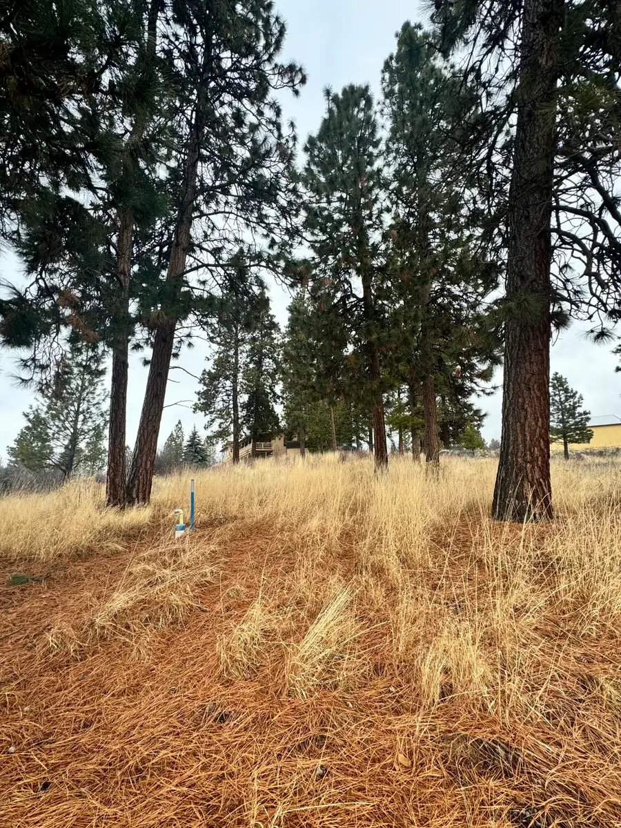 Margi Court #Lot 12, Chiloquin, OR 97624 - #2
