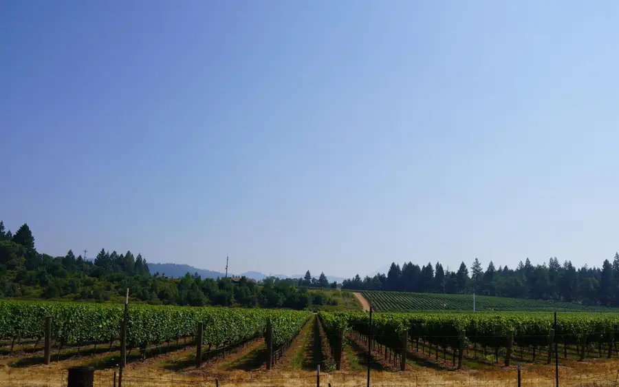 2789 Holland Loop Road, Cave Junction, OR 97523 - #3