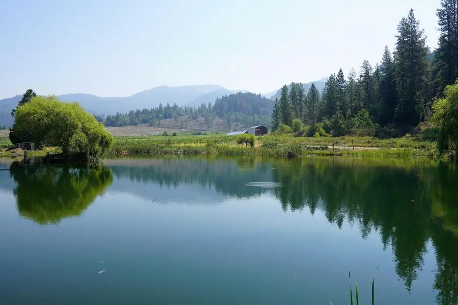 7821 Holland Loop Road, Cave Junction, OR 97523 - #3