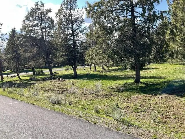 Finch Court #Lot 178, Klamath Falls, OR 97601 - #1