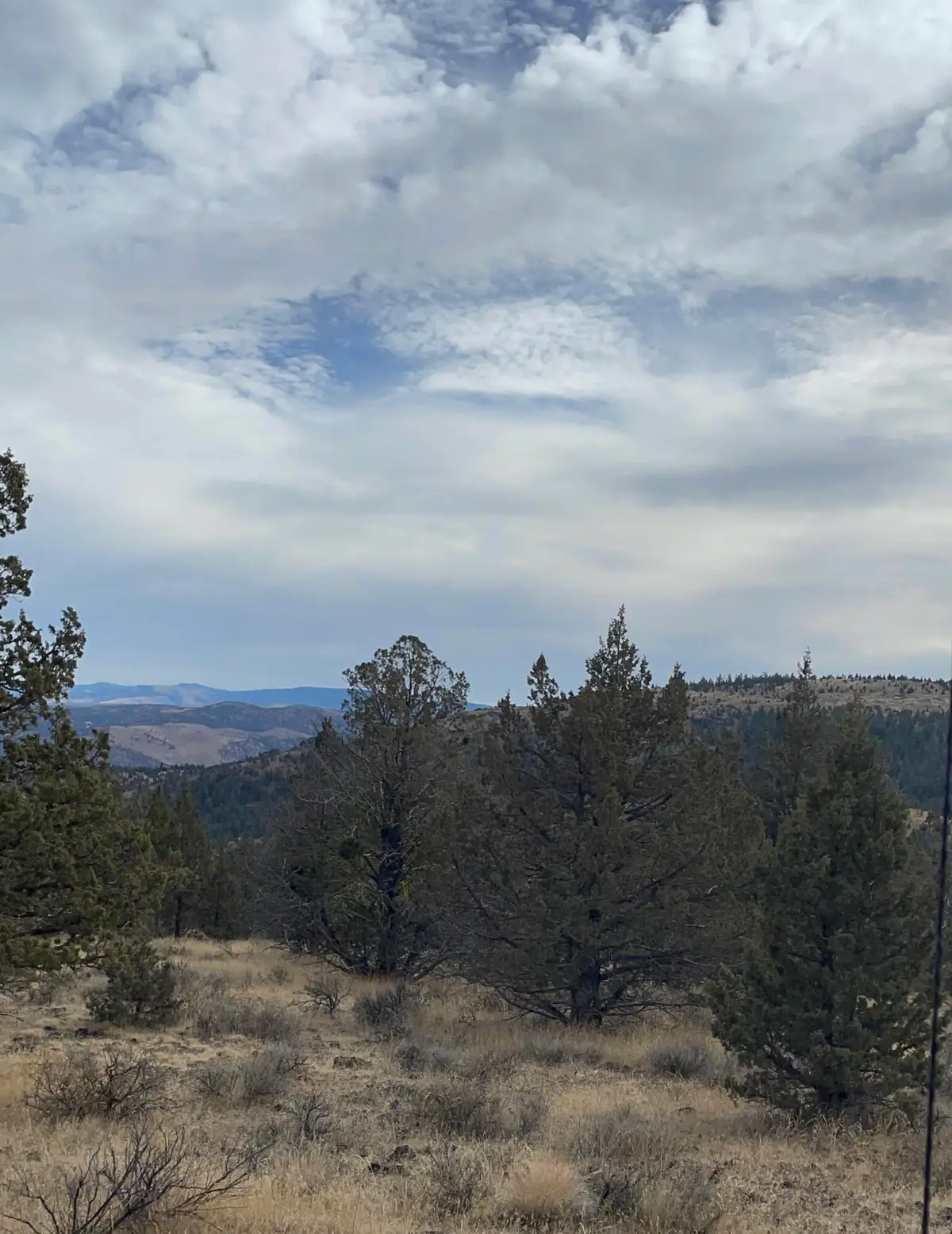 SE Simpson Road #TL205, Prineville, OR 97754 - #1