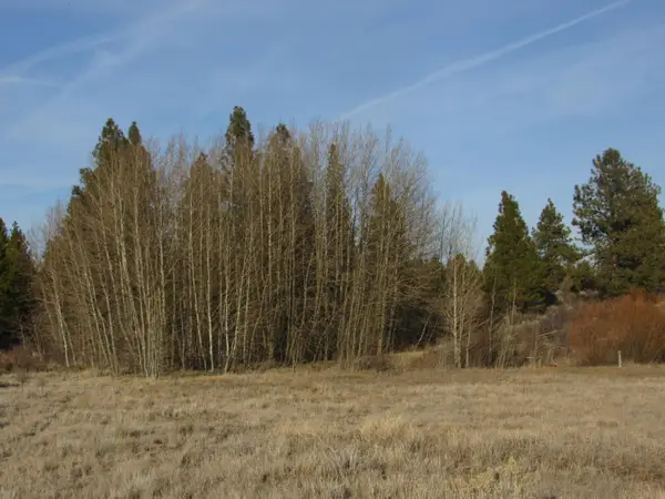 0 Sundance Drive #9, Chiloquin, OR 97624