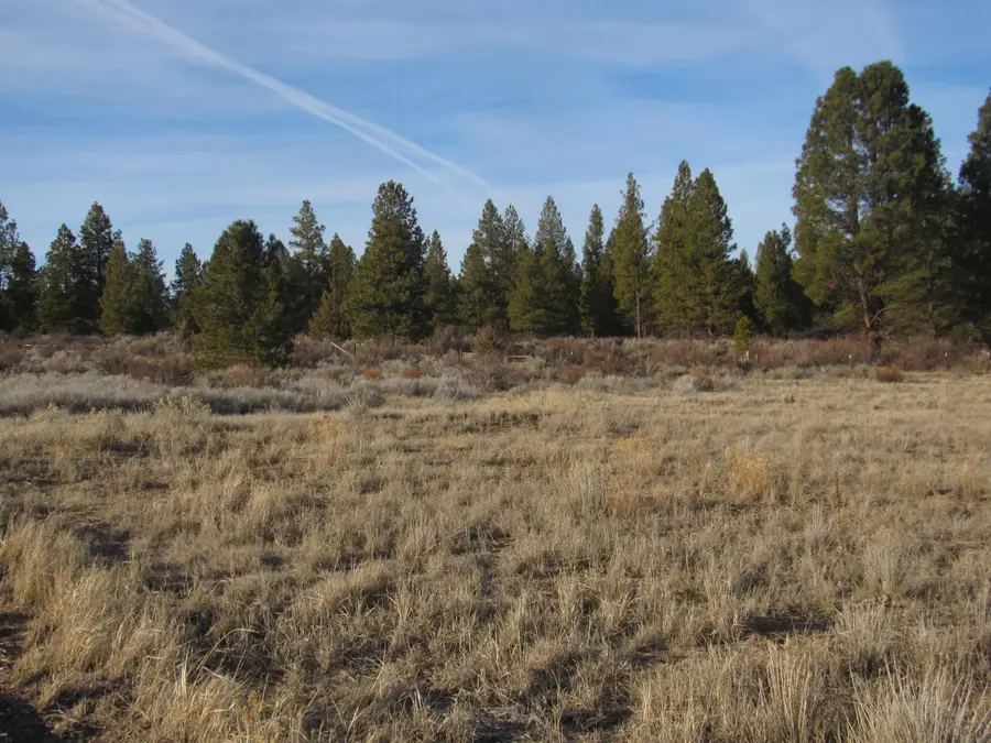 0 Sundance Drive #9, Chiloquin, OR 97624 - #3