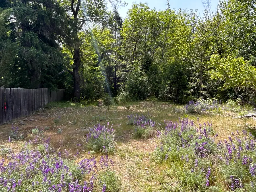 1773 Cedar Flat Road, Williams, OR 97544 - #3