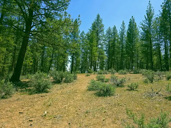 0 Elde Street #20, Chiloquin, OR 97624
