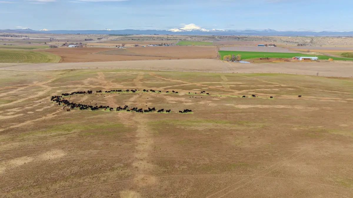 0 NE Hwy 97, Madras, OR 97741 - #1