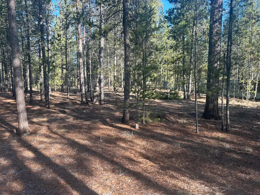 16060 Elkhorn Lane, La Pine, OR 97739 - #2