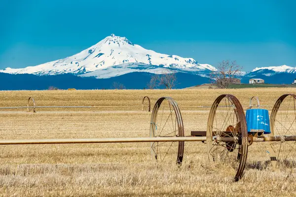 7626 SW Bear Drive, Culver, OR 97734