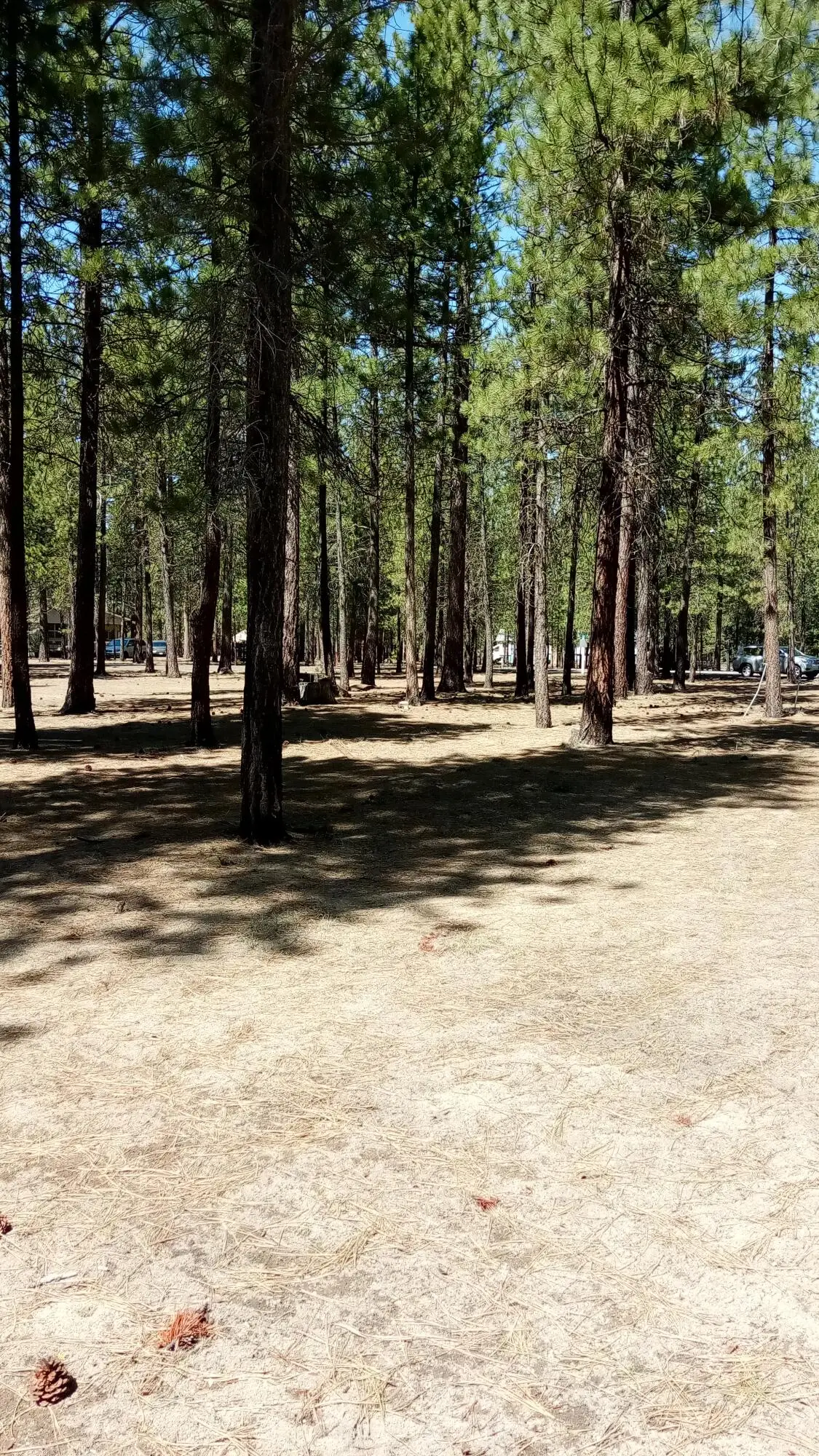 52170 Ponderosa Way, La Pine, OR 97739 - #1