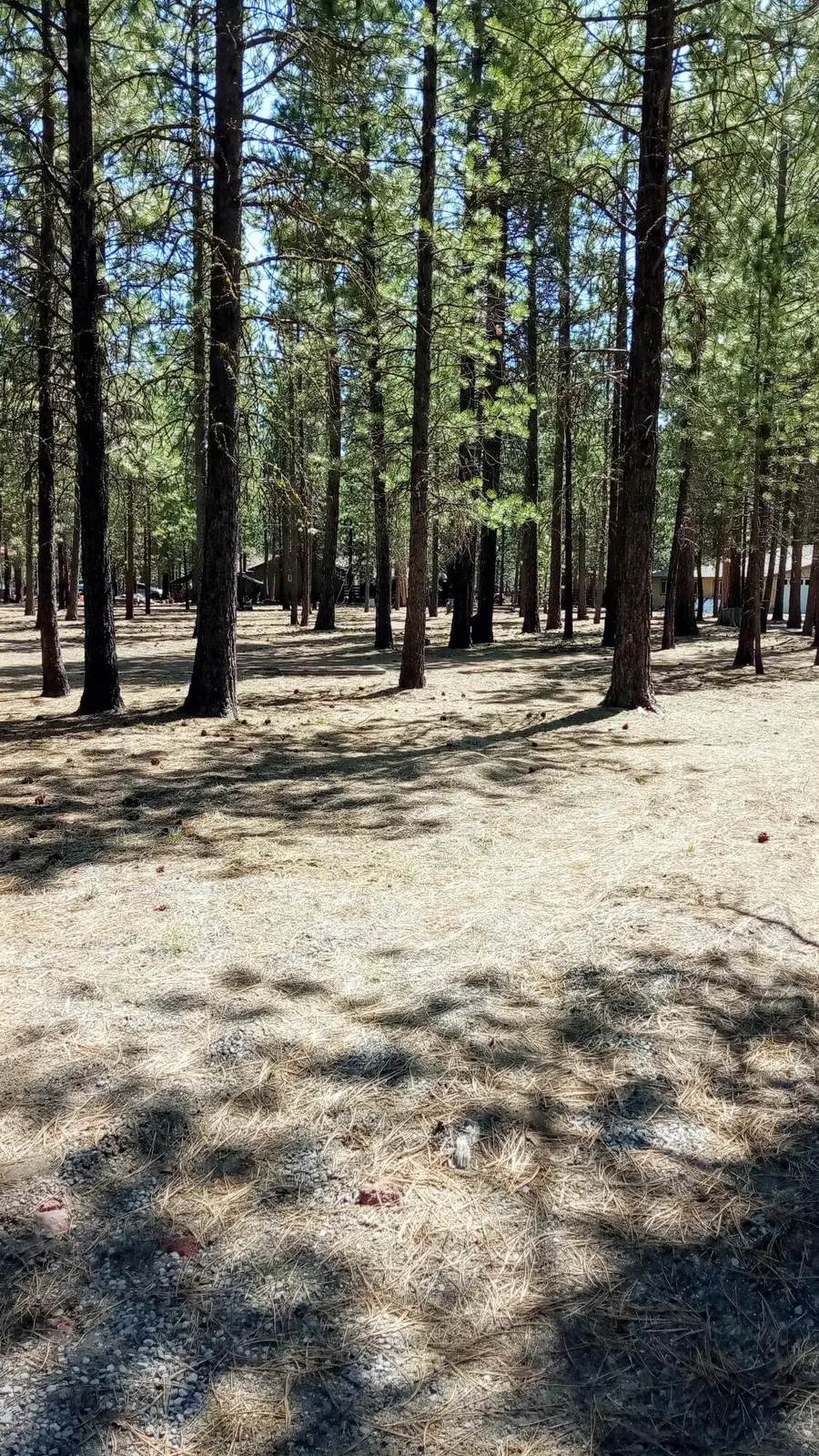52170 Ponderosa Way, La Pine, OR 97739 - #2