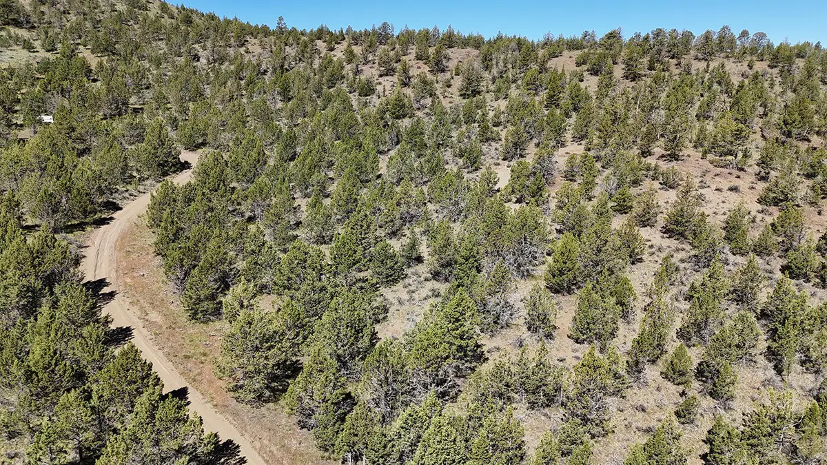 01500 SE Osprey Road #62, Prineville, OR 97754 - #1