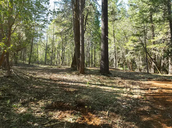 12060 Redwood Highway, Wilderville, OR 97543