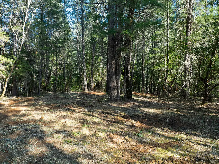 12060 Redwood Highway, Wilderville, OR 97543 - #2