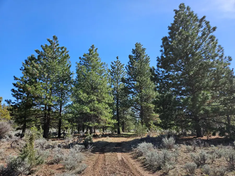 Dodds Hollow Road #895073, Merrill, OR 97633 - #3