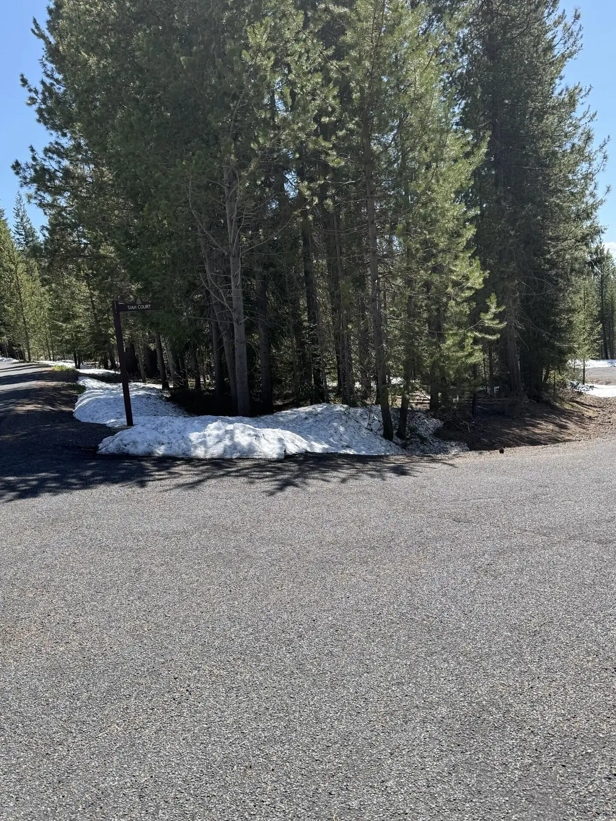 Siah Court #33, Crescent Lake, OR 97733 - #1