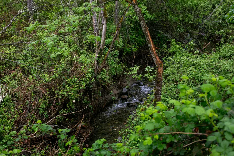 2661 Wards Creek Road, Rogue River, OR 97537 - #2