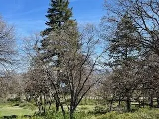 Coopers Hawk Road #Lot 880, Klamath Falls, OR 97601 - #3