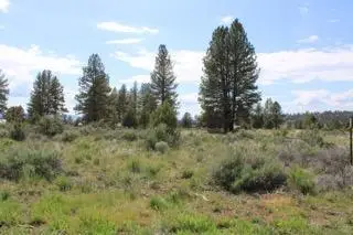 Deer Springs Road, Beatty, OR 97621