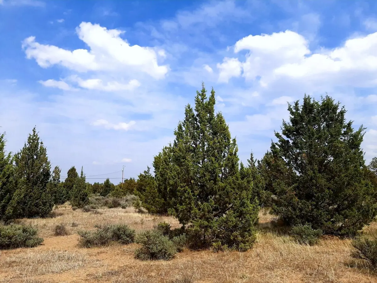 SE Tillamook Loop, Prineville, OR 97754 - #1