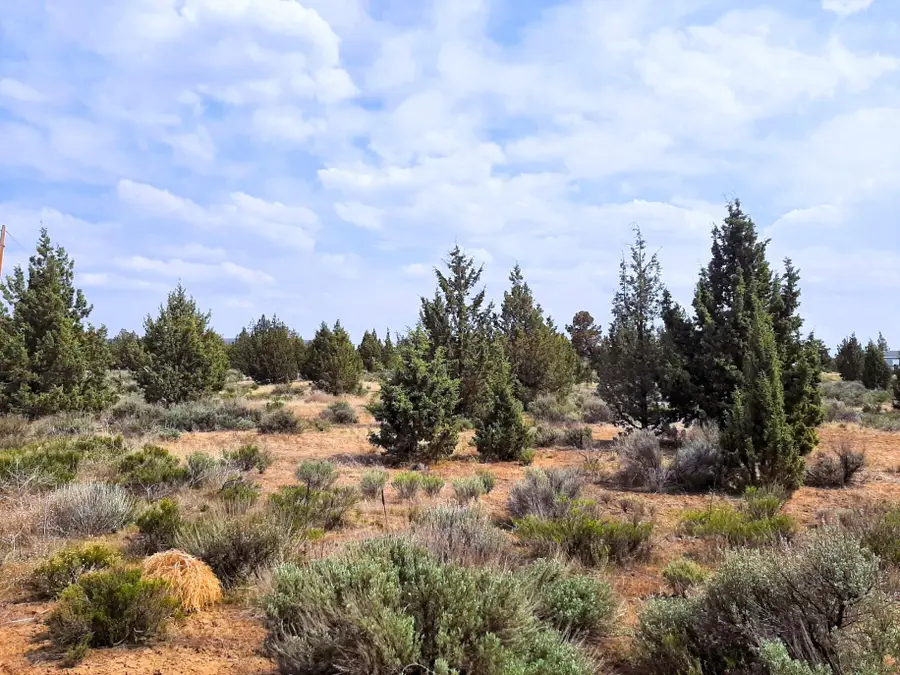 SE Tillamook Loop, Prineville, OR 97754 - #2