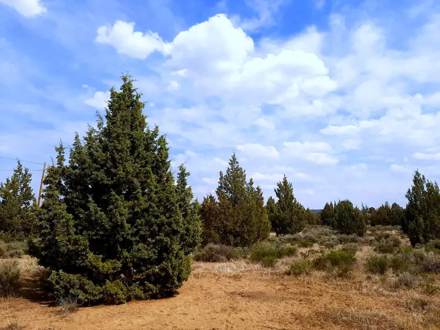 SE Tillamook Loop, Prineville, OR 97754 - #3
