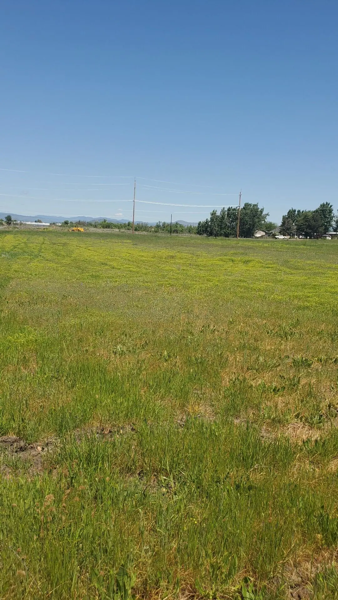 1816 E Vilas Road, Medford, OR 97502 - #1