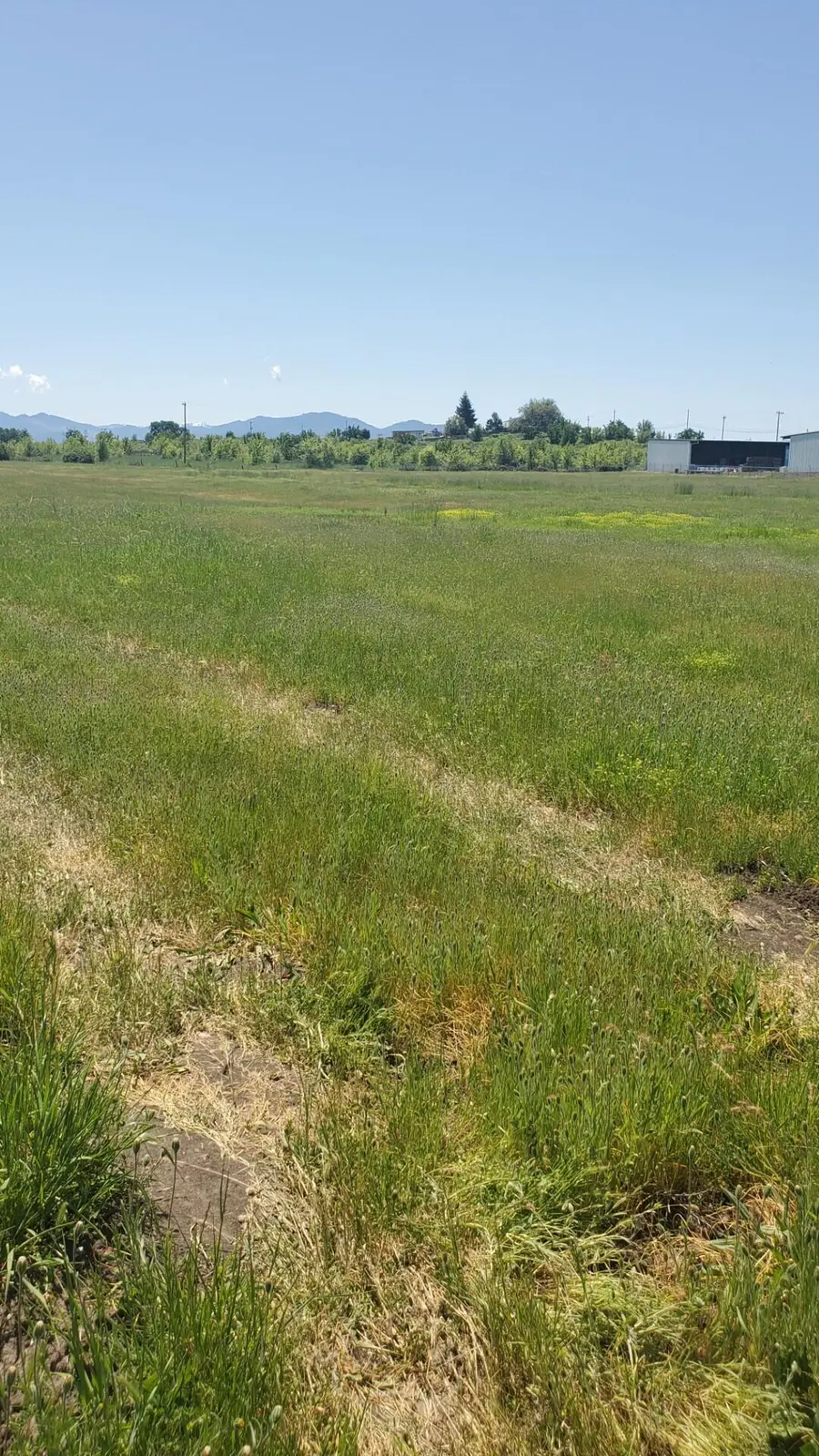 1816 E Vilas Road, Medford, OR 97502 - #2