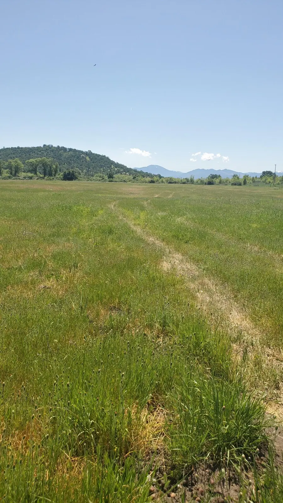 1816 E Vilas Road, Medford, OR 97502 - #3