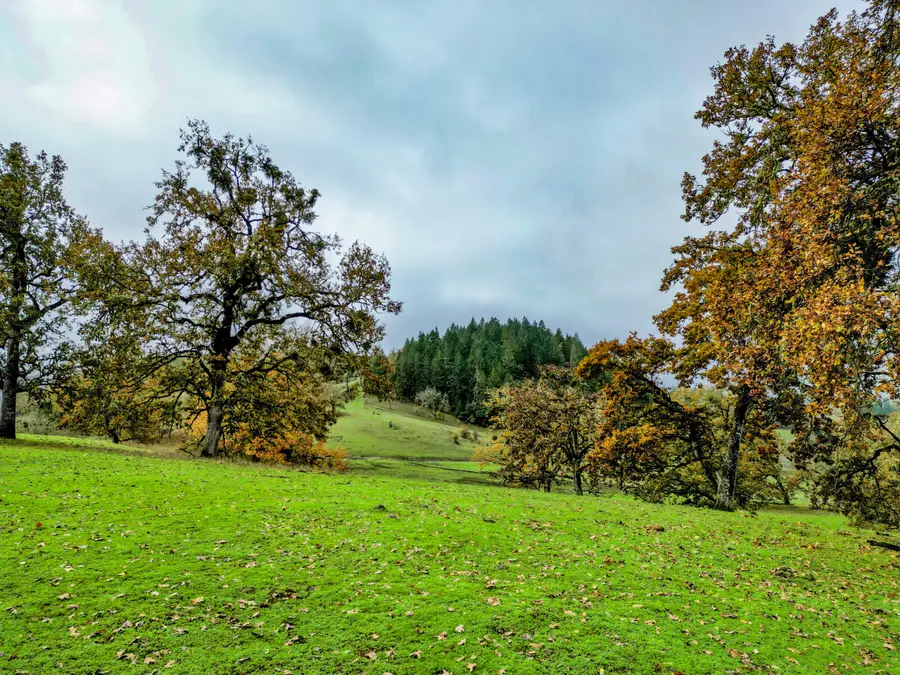 1104 Rio Nes Lane, Roseburg, OR 97470 - #3