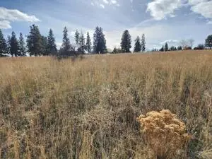 Kerry Drive #Lot 9, Chiloquin, OR 97624