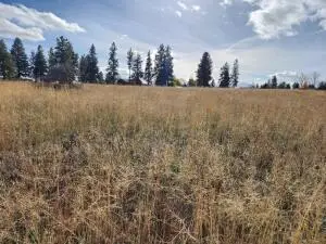 Kerry Drive #Lot 9, Chiloquin, OR 97624 - #2