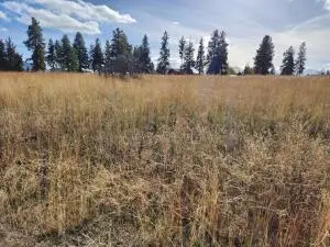 Kerry Drive #Lot 9, Chiloquin, OR 97624 - #3