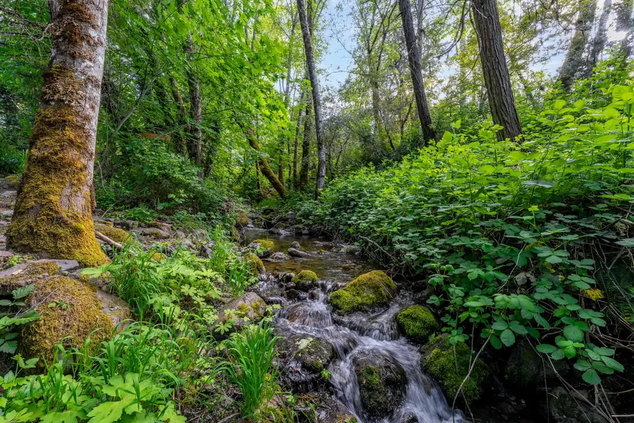 988 Savage Creek Road, Grants Pass, OR 97527 - #2