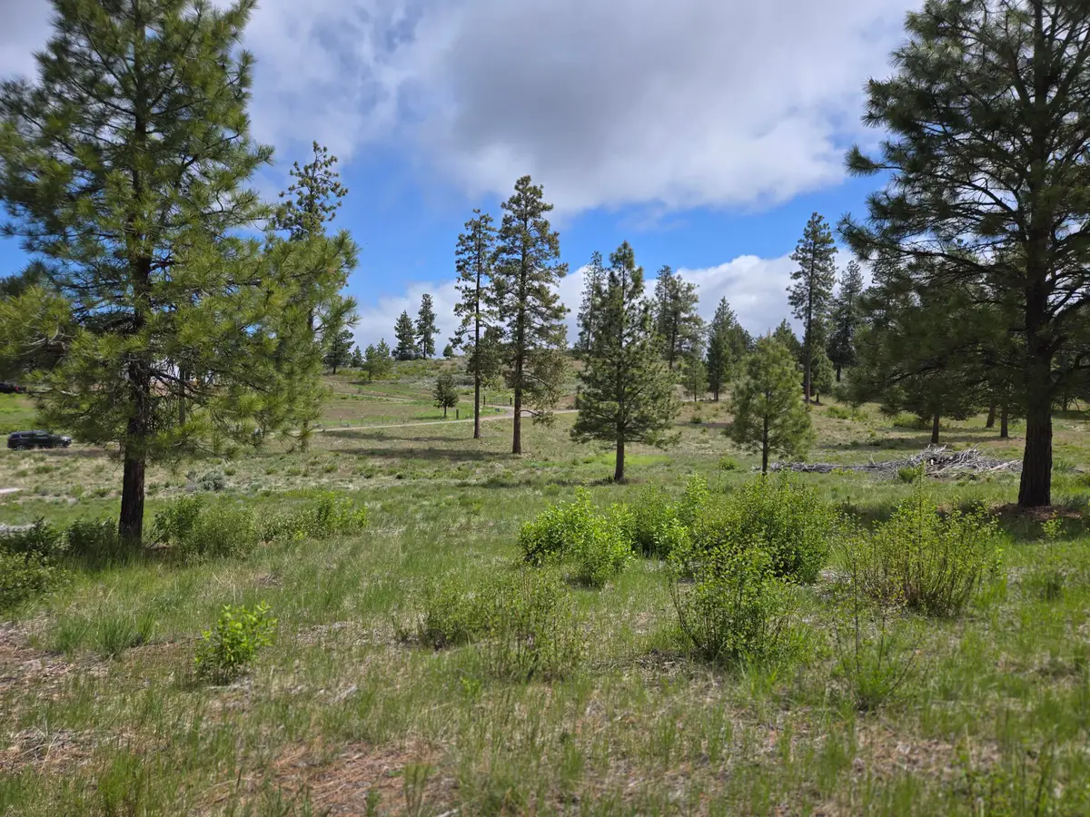 Ranch Road #Lot 17, Chiloquin, OR 97624 - #1