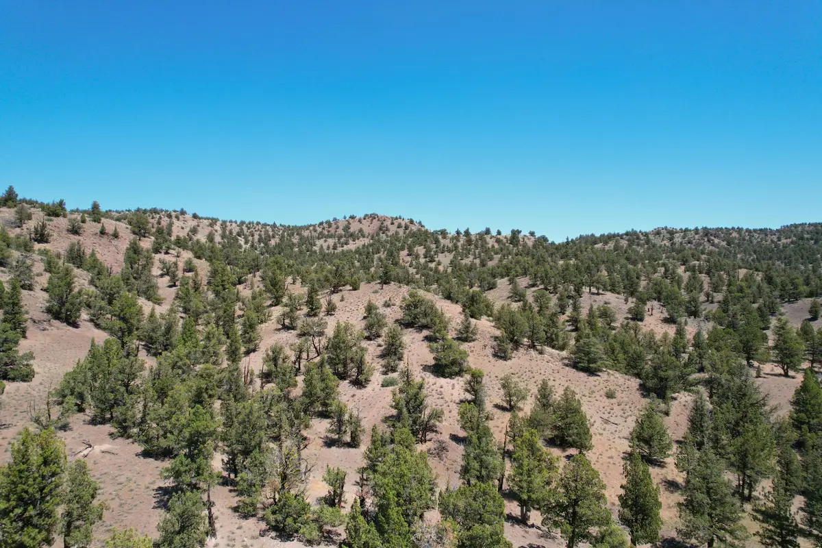 0000 SE Tbd Doubtful Dirt Road, Prineville, OR 97754 - #1