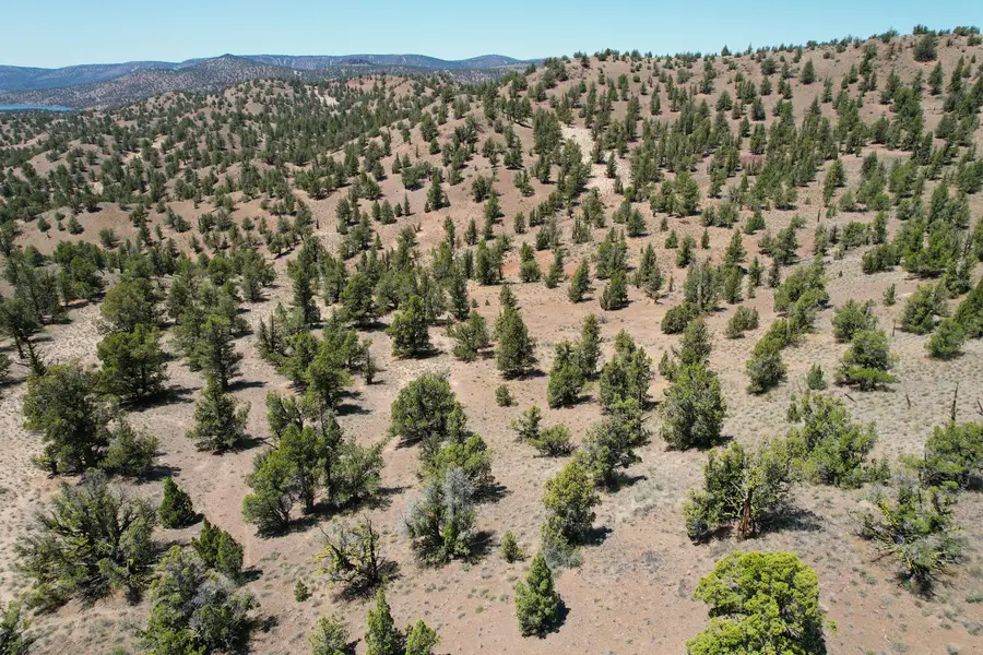 0000 SE Tbd Doubtful Dirt Road, Prineville, OR 97754 - #3