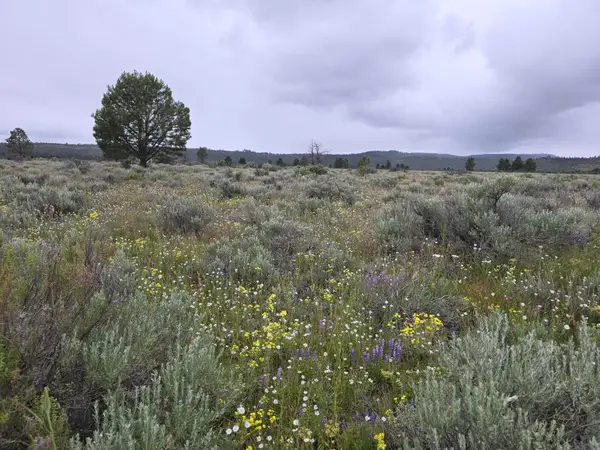 0 Tableland Road #3800, Sprague River, OR 97639