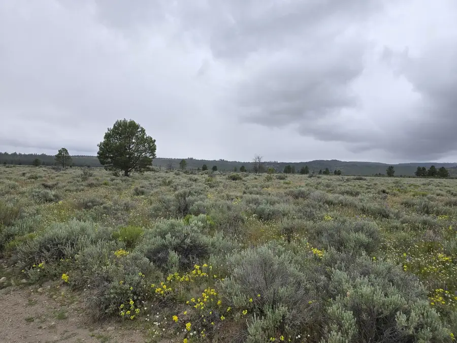 0 Tableland Road #3800, Sprague River, OR 97639 - #2