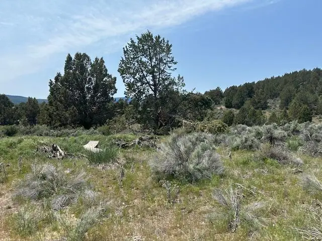 Lassen Street, Sprague River, OR 97639 - #3