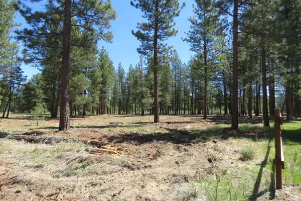 7 Castle Drive, Chiloquin, OR 97624