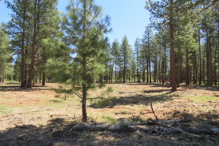 7 Castle Drive, Chiloquin, OR 97624 - #3