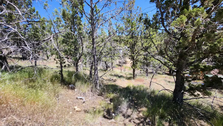 11574 NW Nye Avenue, Prineville, OR 97754 - #3