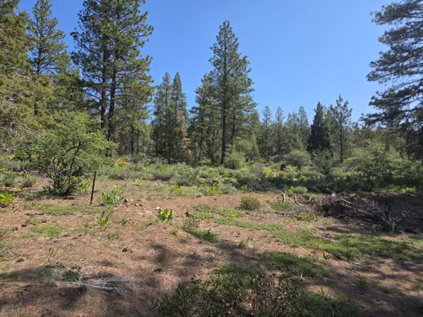 Meadow Lark Drive #Lot 12, Bonanza, OR 97623