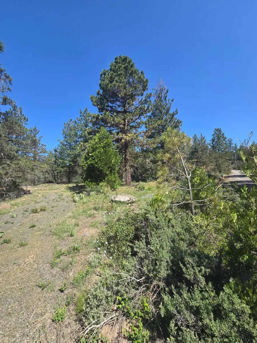 Meadow Lark Drive #Lot 12, Bonanza, OR 97623 - #2