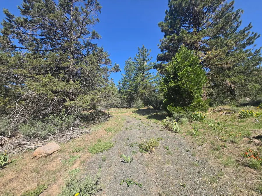 Meadow Lark Drive #Lot 12, Bonanza, OR 97623 - #3