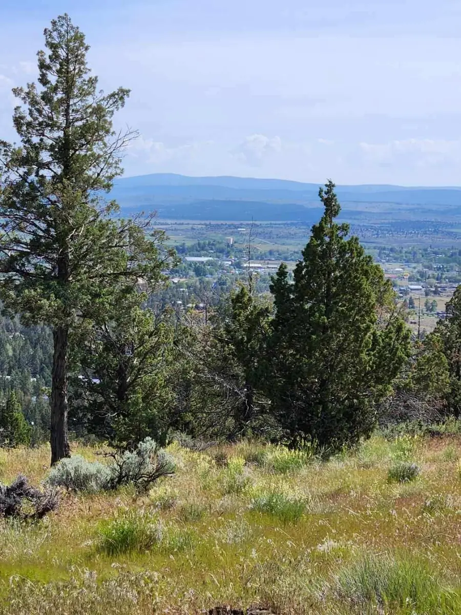 Hummingbird Lane #Lot 5, Alturas, CA 96101 - #2