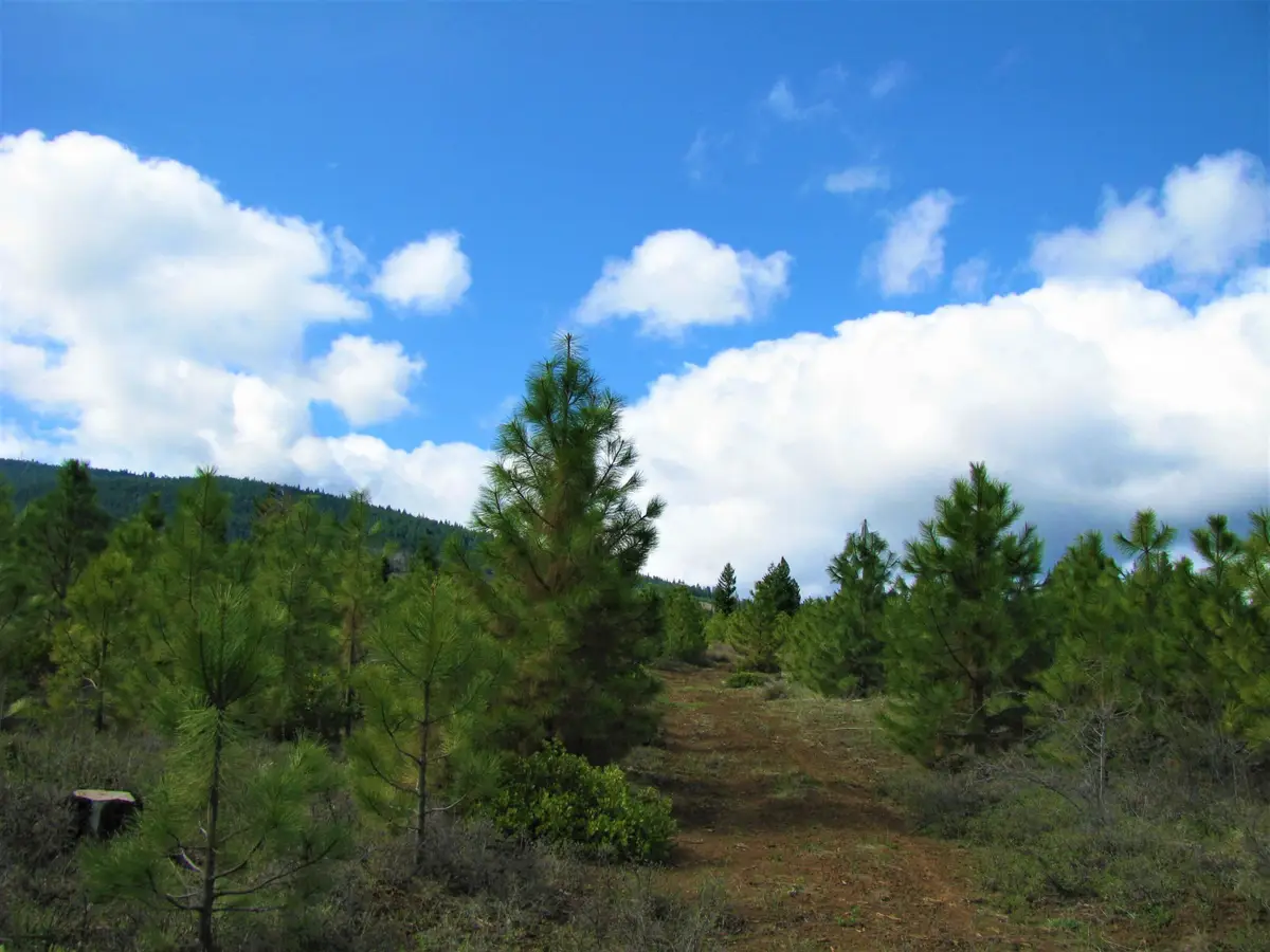Greensprings Hwy #2200, Klamath Falls, OR 97601 - #1