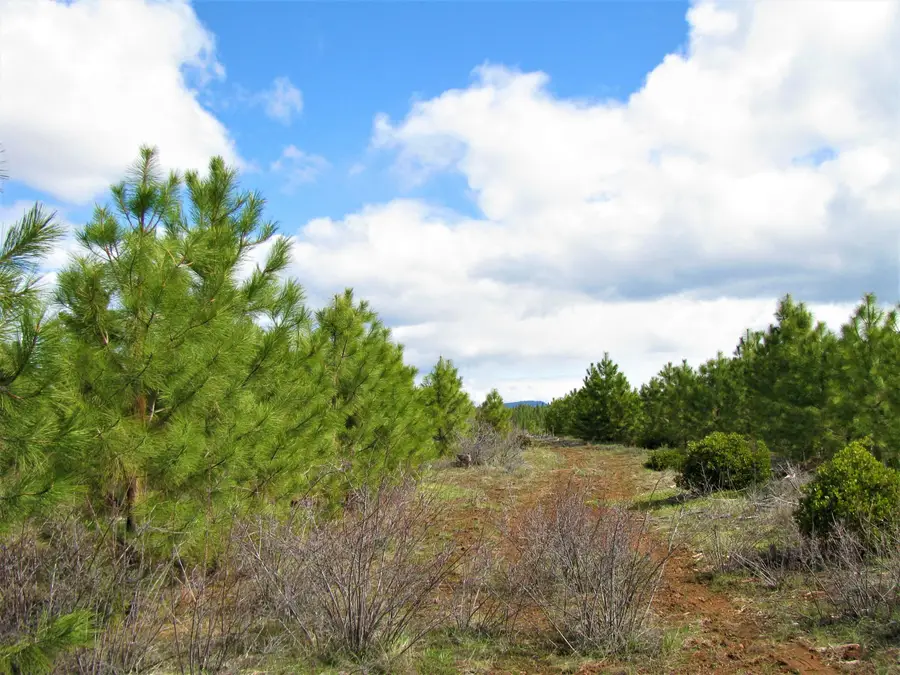Greensprings Hwy #2200, Klamath Falls, OR 97601 - #2